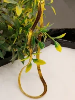 Gold Herringbone Chain Necklace – Thin Flat Snake Unisex Design - Image 6